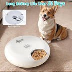 Ownpets Automatic Cat Feeder for Wet Food, with Stainless Steel Tray, 6 Meals Rechargeable Auto Pet Feeder with 2 Ice Packs, Cat Food Dispenser for Cats Small Dogs