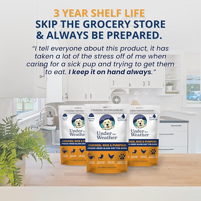 Under the Weather Bland Diet for Dogs | Easy to Digest for Sick Dogs |Always Be Ready | Contains Electrolytes - All Natural Freeze Dried 100% Human Grade Meats | 2 Pack - Rice, Chicken & Pumpkin - 6oz