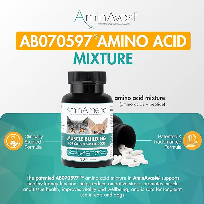 AminAvast Kidney Support Supplement for Cats and Small Dogs, 300mg 3-Pack - Promotes Natural Kidney Function - Aids in Health and Vitality of Aging Kidneys - Easily Administered - 60 Sprinkle Capsules