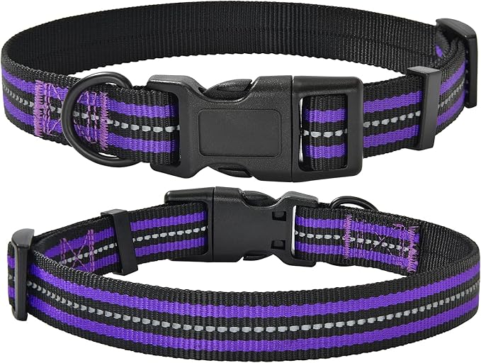 Mile High Life Reflective Dog Collar | Nylon Pet Collars wiith Buckle | Light Weight Puppy Collars | Purple Dog Collars for Large Dogs (Purple, L)