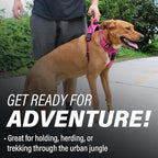 Doggie Design Venture Paw No Pull Dog Harness - Simple Adjustable Puppy Harness - Anti Pull Dog Collar for Walks and Outdoor Adventures - Wild Raspberry, L