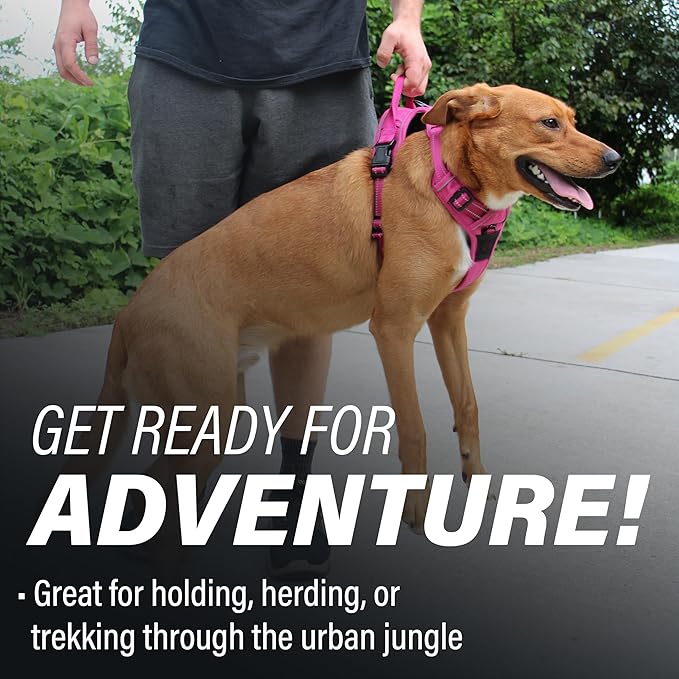 Doggie Design Venture Paw No Pull Dog Harness - Simple Adjustable Puppy Harness - Anti Pull Dog Collar for Walks and Outdoor Adventures - Wild Raspberry, L