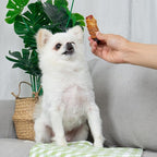 MON2SUN Rawhide Free Dog Treats, 3 Inch Triple Flavor Chicken Wrapped Duck and Beef Rolls for Small Dogs, Healthy Snacks, 13.23oz