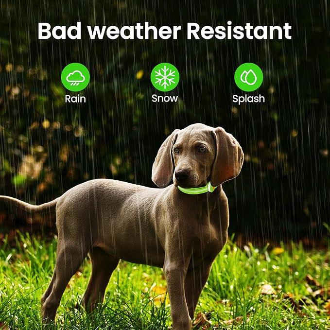 MASBRILL Light Up Dog Collar - RGB LED Flashing, Rechargeable, Water-Resistant Glow Up Night Walking Collar for Small to Large Dogs