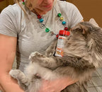 Bench & Field Holistic Natural Healthy Kitty Cat Treats | Crunchy Fish-Shaped Bites | Delicious Seafood Flavored Snack, 3-Ounce Bottle