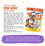Weruva B.F.F. OMG - Best Feline Friend Oh My Gravy!, Chicken & Salmon Shine Bright with Chicken & Salmon in Gravy, 2.8oz Pouch (Pack of 12)