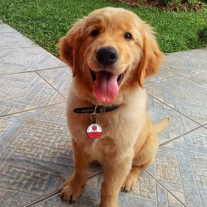 MYLUCKYTAG ESA Tag with QR Code, Digital Pet ID, Location Alerts, Quiet Silicone Collar Tag