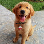 MYLUCKYTAG ESA Tag with QR Code, Digital Pet ID, Location Alerts, Quiet Silicone Collar Tag