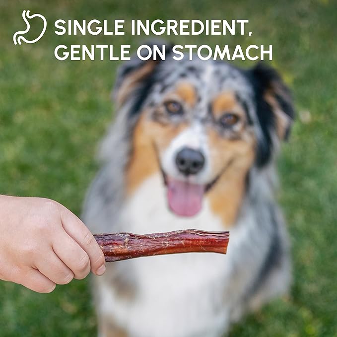 Downtown Pet Supply 6-inch Bully Sticks for Dogs, Pack of 18 - Single Ingredient, Nutrient-Rich and Odor Free Bully Sticks for Dogs - Rawhide Free Dog Chews Long Lasting and Non-Splintering