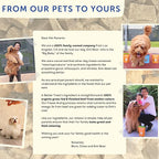 A Better Treat – Organic, Freeze Dried, Single Ingredient, 100% Grass Fed & Finished, Pasture Raised Beef Liver Dog Treats, Cat Treats | Natural Healthy | High Protein, Diabetic Friendly | Made in USA