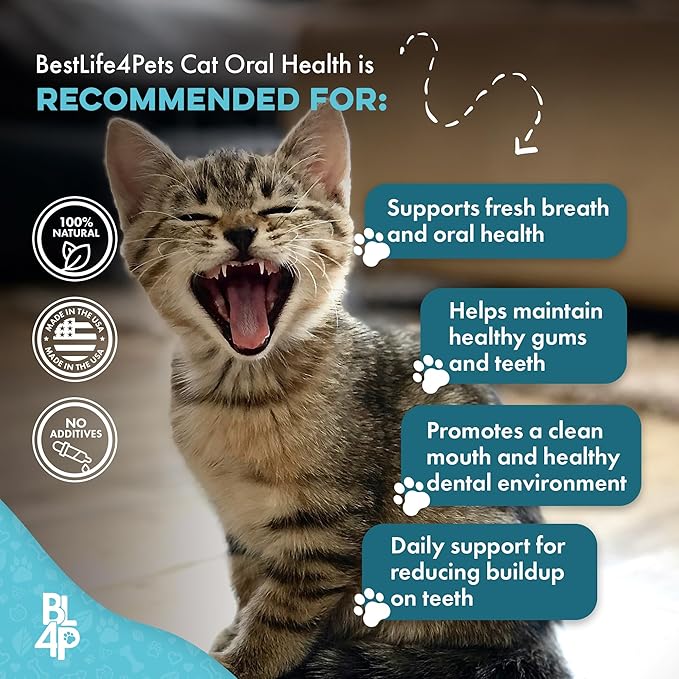 Cat Bad Breath & Oral Health Remedy, Natural Dental Care Cats Teeth, Mouth and Gums, Easy to Use Daily Supplement for Stomatitis, Gingivitis, Plaque & Tartar Control for Cats, 800 Small Pills
