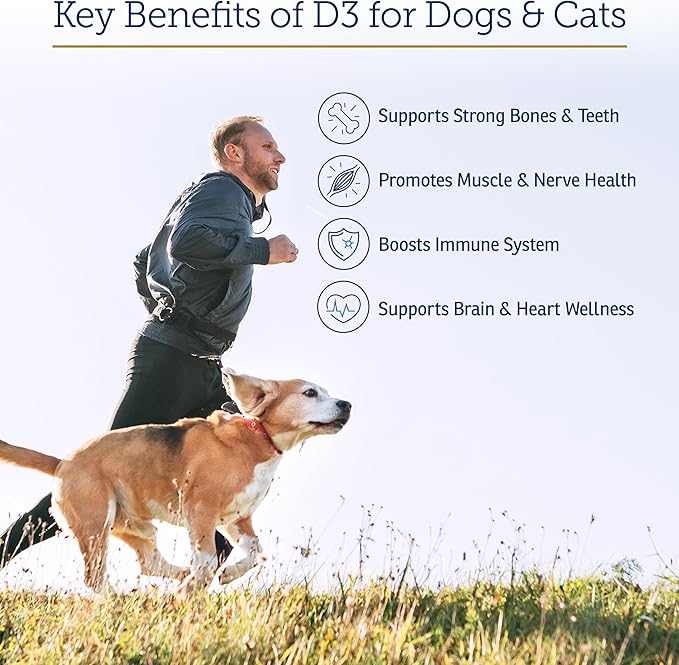 Rx Vitamins Rx D3 - Cat & Dog Vitamins Liquid D3 Drops in MCT Oil - Vitamin D for Dogs & Cats to Manage Deficiency - Aids in Dog Immune Support and Calcium Absorption - Pet Vitamin D3-2oz