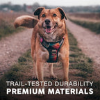 Embark Adventure Dog Harness, Reflective Trim No Pull Dog Harnesses for Small Sized Dogs - Military Grade Nylon, Front Clip with Gel Lined Handle. Soft & Padded Puppy