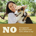 ACANA Classics Pate Wet Dog Food Chicken Recipe 12.5oz Cans (12 Count)