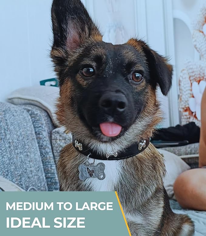 Blank Dog Tags 10PCS Smooth Edges Stainless Steel Blank Bone Shape Dog Tags Sublimation-Ready Pet Tag Pet ID Tag for Dogs Sublimation Dog Tag Blanks Laser Engraving Metal 1.9 x 1in