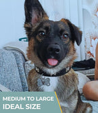 Blank Dog Tags 10PCS Smooth Edges Stainless Steel Blank Bone Shape Dog Tags Sublimation-Ready Pet Tag Pet ID Tag for Dogs Sublimation Dog Tag Blanks Laser Engraving Metal 1.9 x 1in