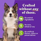Halo Holistic Vegan Wet Dog Food, Plant-Based Recipe, Canned Dog Food, Complete Digestive Health, Adult Dogs, 13 Oz Can (Pack of 12)