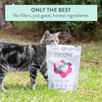 The New Zealand Natural Pet Food Co Meow Freeze Dried Cat Food - Lamb & Hoki Recipe, High Protein Treats, Meals & Toppers, Dry Cat Food, 9.9 oz
