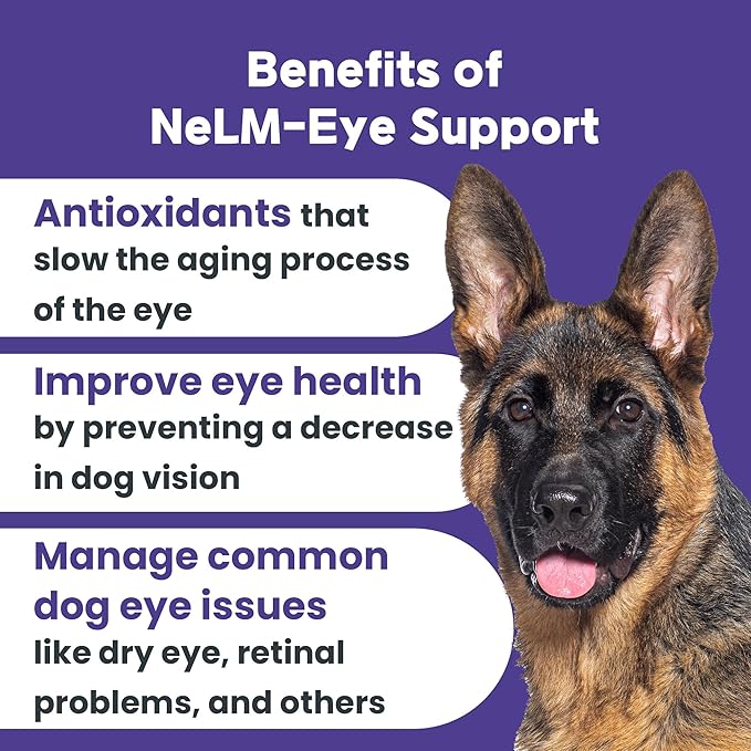 NeLM Supplements & Vitamins for Dogs - Mouth Dissolving Strips - Multivitamin, Eye, Hip & Joints, Gut, Dental Support - Pet Health Supplies - 30 Stips(Pack of 1) (30 Strips (Pack of 1), Eye Support)