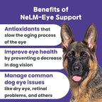 NeLM Supplements & Vitamins for Dogs - Mouth Dissolving Strips - Multivitamin, Eye, Hip & Joints, Gut, Dental Support - Pet Health Supplies - 30 Stips(Pack of 1) (30 Strips (Pack of 1), Eye Support)