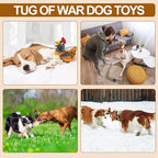 Squeaky Chicken Dog Toy with Pullable Egg – Full-Body Crinkle Plush & Rope Legs, Durable Interactive Toy for Small, Medium & Large Dogs