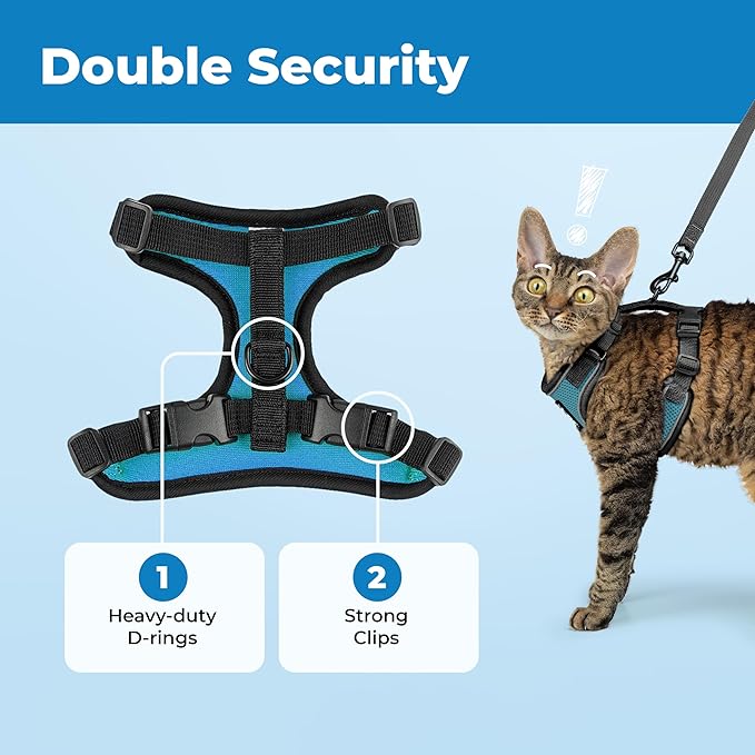 Voyager Escape-Proof Step-in Lock Cat Harness & 5ft Neoprene-Handle Leash Set All-Weather Mesh with Reflective Stitching for Small to Large Cats by Best Pet Supplies, Black Trim-Turquoise (327), S