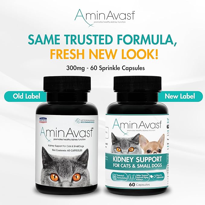 AminAvast Kidney Support Supplement for Cats and Small Dogs, 300mg 3-Pack - Promotes Natural Kidney Function - Aids in Health and Vitality of Aging Kidneys - Easily Administered - 60 Sprinkle Capsules