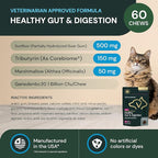 VetriScience Veterinary Strength Healthy Gut & Digestion - Pet Digestive Health Supplement for Cats & Dogs - Gut Health & Immune Support - Features Probiotics, Prebiotics & Postbiotics - 60 Count