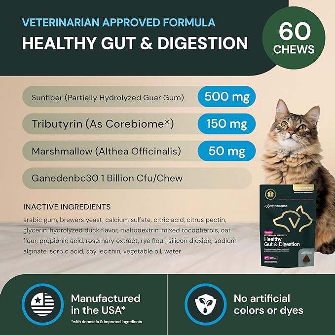 VetriScience Veterinary Strength Healthy Gut & Digestion - Pet Digestive Health Supplement for Cats & Dogs - Gut Health & Immune Support - Features Probiotics, Prebiotics & Postbiotics - 60 Count