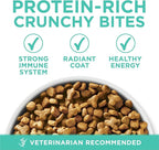 Purina ONE Sensitive Stomach, Sensitive Skin, Natural Dry Cat Food, +Plus Sensitive Skin and Stomach Formula - 22 lb. Bag