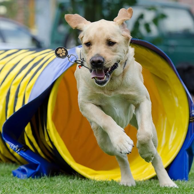 Personalized Dog Tags - Custom Dog Name Tags with QR Code for Instant Pet Location Alerts