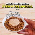 Temptations Creamy Puree Squeezable Lickable Wet Cat Treats with Salmon, 0.42 oz. Tubes, 16 Count