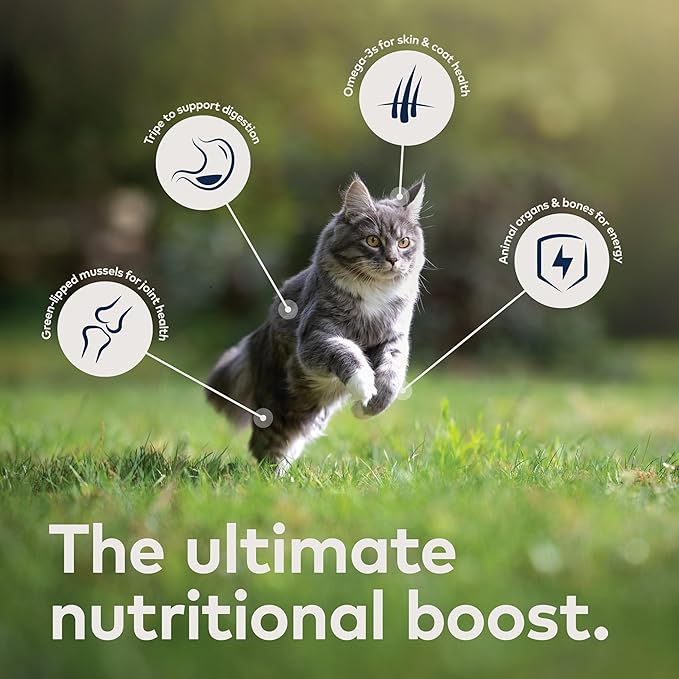 ZIWI Peak Canned Wet Cat Food – All Natural, High Protein, Grain Free, Limited Ingredient, with Superfoods (Beef), 6.5 Ounce (Pack of 12)