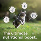 ZIWI Peak Canned Wet Cat Food – All Natural, High Protein, Grain Free, Limited Ingredient, with Superfoods (Mackerel, Case of 12, 6.5oz Cans)