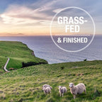 K9 Natural Freeze Dried Dog Food Topper with Verified Ingredients, Organ Meat Blend for Digestive Support, Human-Grade Freeze Dried Puppy Food & Dog Topping, Lamb Green Tripe, 7oz