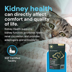 Vetriscience Veterinary Strength Kidney Health Chews - Balanced Kidney Support for Pets - Feline & Canine Renal Support - Holistic Formula - Chicken Liver Flavor - 60 Count