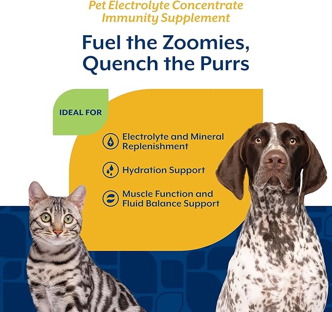 NaturVet Pet Electrolyte Concentrate for Dogs and Cats, 16 oz Liquid Concentrate, Made in The USA with Globally Source Ingredients