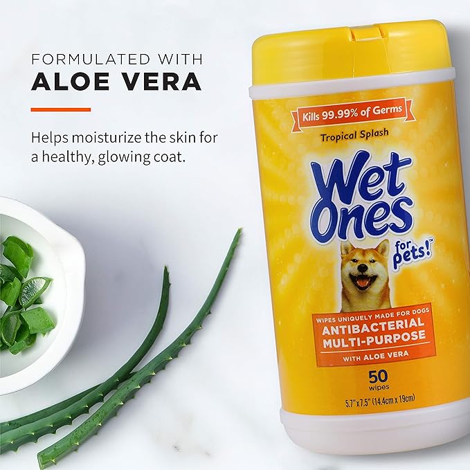 Wet Ones for Pets Multipurpose Dog Wipes with Aloe Vera, Tropical Splash Scent - Pet Bathing Wipes in Canister for Dog Paws & All Over Use, 50 Count - 3 Pack