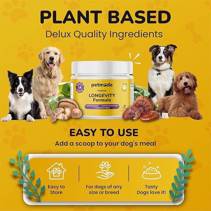 Turkey Tail Mushroom for Dogs - Dog Vitamins and Supplements - Prebiotics & Probiotics for Longevity, Immune Support & Digestion - with Chlorella, Dandelion Root, Vitamin E & More- 5.3 Oz