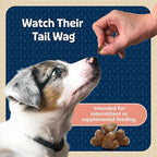 Blue Buffalo Bits Soft Dog Treats for Training, Made with Natural Ingredients & Enhanced with DHA, Salmon Recipe, 4-oz Bag