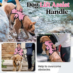 rabbitgoo Escape Proof Dog Harness Large Dogs, Soft Padded Full Body Pet Harness, Reflective Adjustable No Pull Vest with Lift Handle and Leash Clip for Walking Hiking Training, Light Pink, L