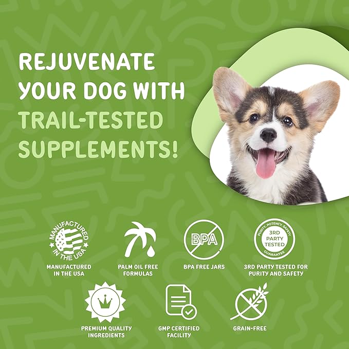 waggedy Daily Essentials Puppy — Full-Spectrum Functional Treats, Small or Large Breed Puppy Supplements — Dog Supplements & Vitamins — Puppy Essentials (60 Chews)