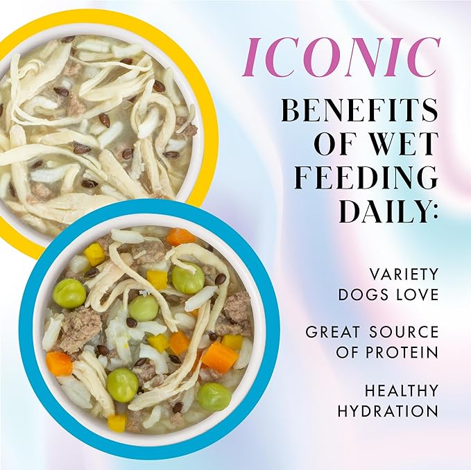 Pamper Like Paris Natural Wet Dog Food, Chicken Recipes Cooked in Broth Variety Pack (2.75oz Cup, Pack of 10)