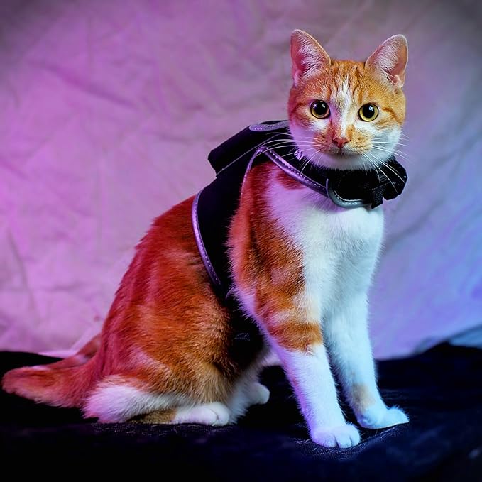 Travel Cat & Stray Cat Harness and Leash Set - Adjustable Velcro Mesh Cat Harness and Strong Nylon Leash Kit - Comfort Escape Proof Harness for Cats, Kitten for Outdoor Walking (Large: 13-16 in)