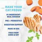 Shameless Pets Celebration Birthday Crunchy Cat Treats Chicken and Catnip Treats with Digestive Support