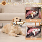 Squeaky Dog Toys, Interactive Tug of War Puppy Toys, Funny Plush Dog Chew Toys, Stuffed Dog Toys for Small,Medium and Large Dogs - Lion