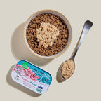 Open Farm, Canned Cat Food Topper, Silky Mousse Made with 95% Responsibly Sourced Icelandic Fish, Grain & Legume Free, Salmon & Cod Recipe, 3.17oz Cans (Pack of 17)