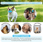 PIFFZEDO Dog Toys for Aggressive Chewers,Interactive Natural Rubber Chew & Squeaky Toy for Medium Breed Only(Not for Small Dog),Dog Toothbrush,Tough & Durable (Azure,Medium)