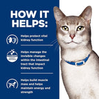 Hill's Prescription Diet k/d Kidney Care with Chicken Wet Cat Food, Veterinary Diet, 5.5 oz. Cans, 24-Pack