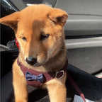 Puppytie No Pull xs Dog Harness with Multifunction Dog Leash,Soft Adjustable No Choke Escape Proof Pet Harness Vest,Plaid deep red,xs